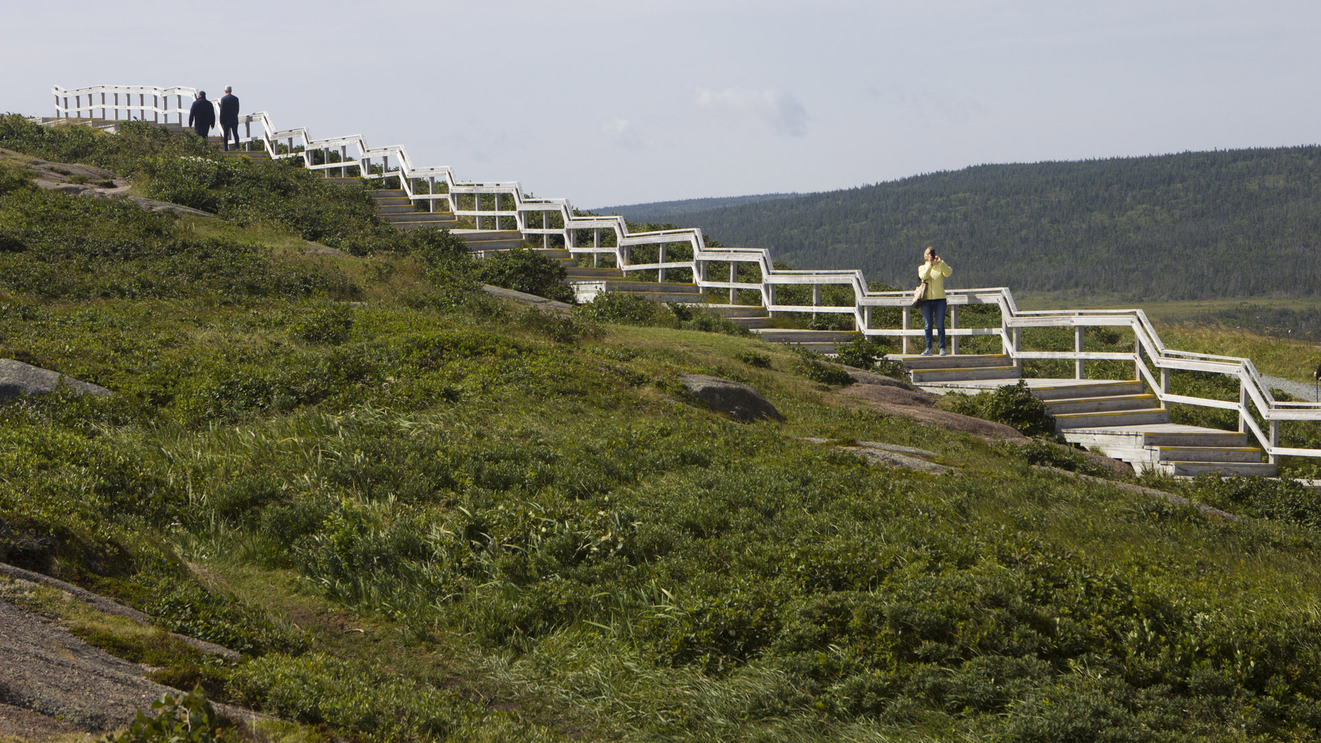 MH_CapeSpear_7809