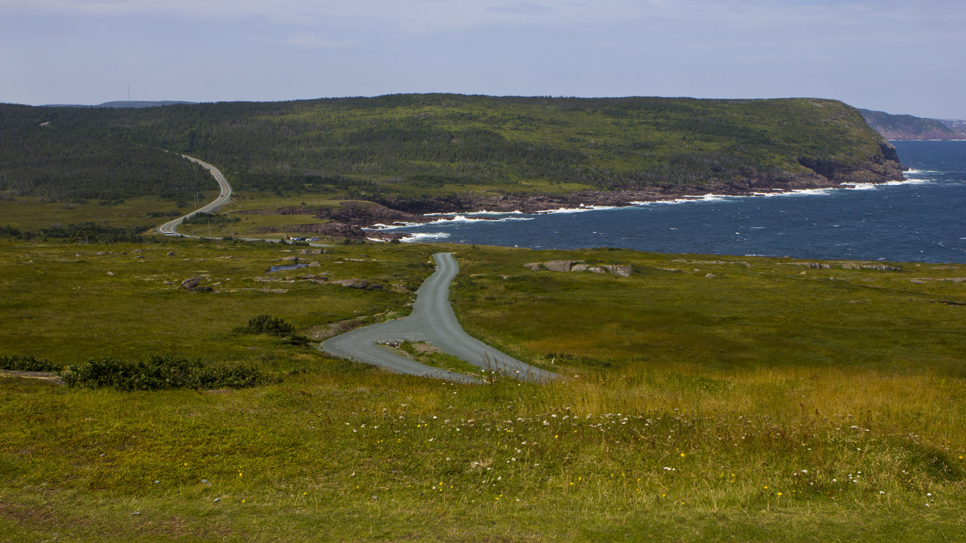 MH_CapeSpear_7860