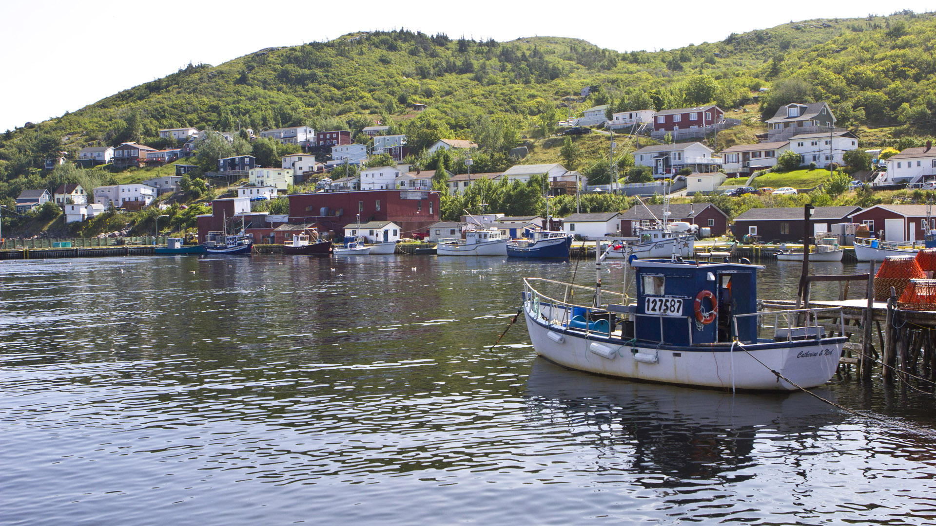 MH_PettyHarbour_7885