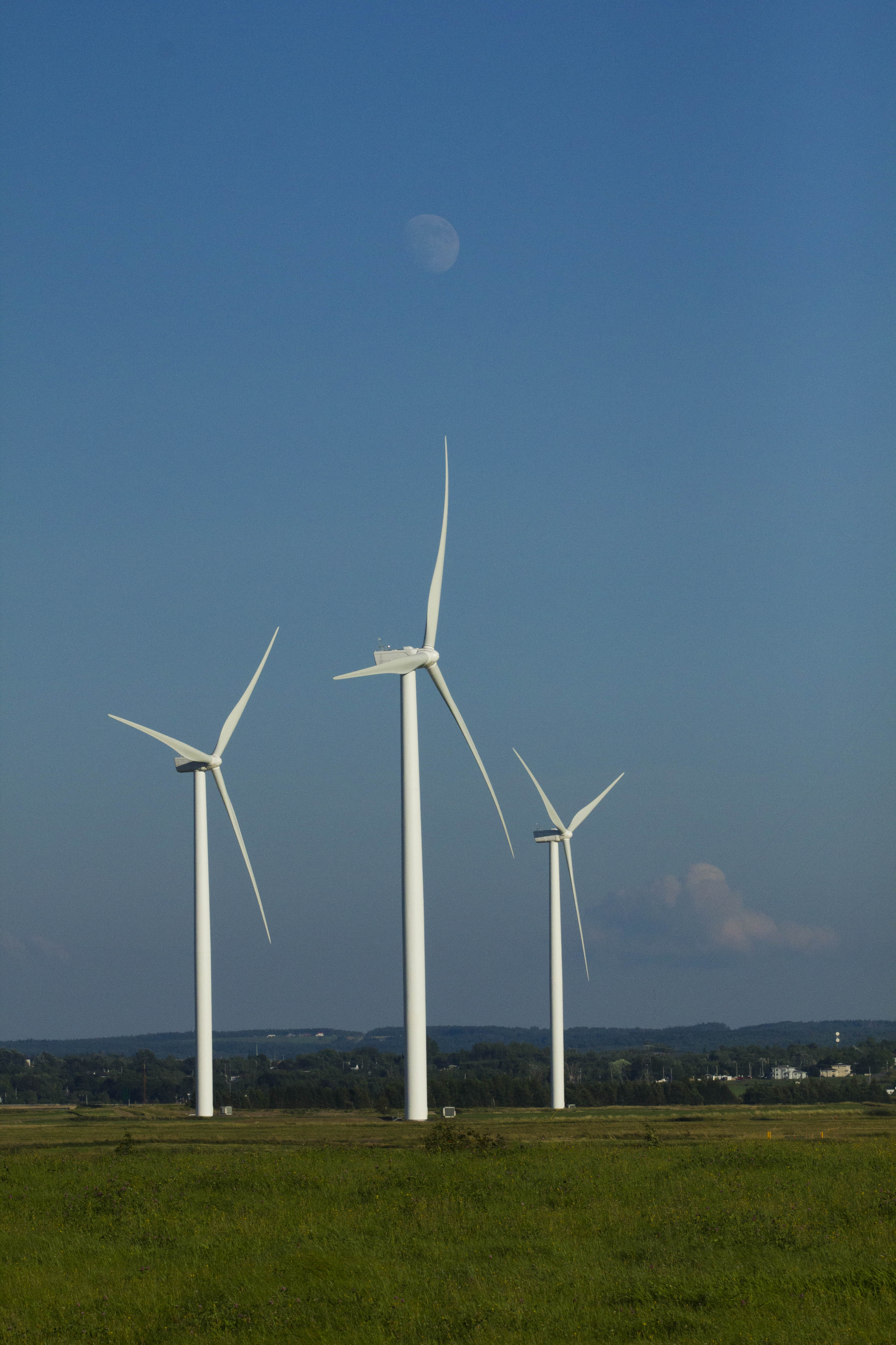 MH_AmherstWindMills1m