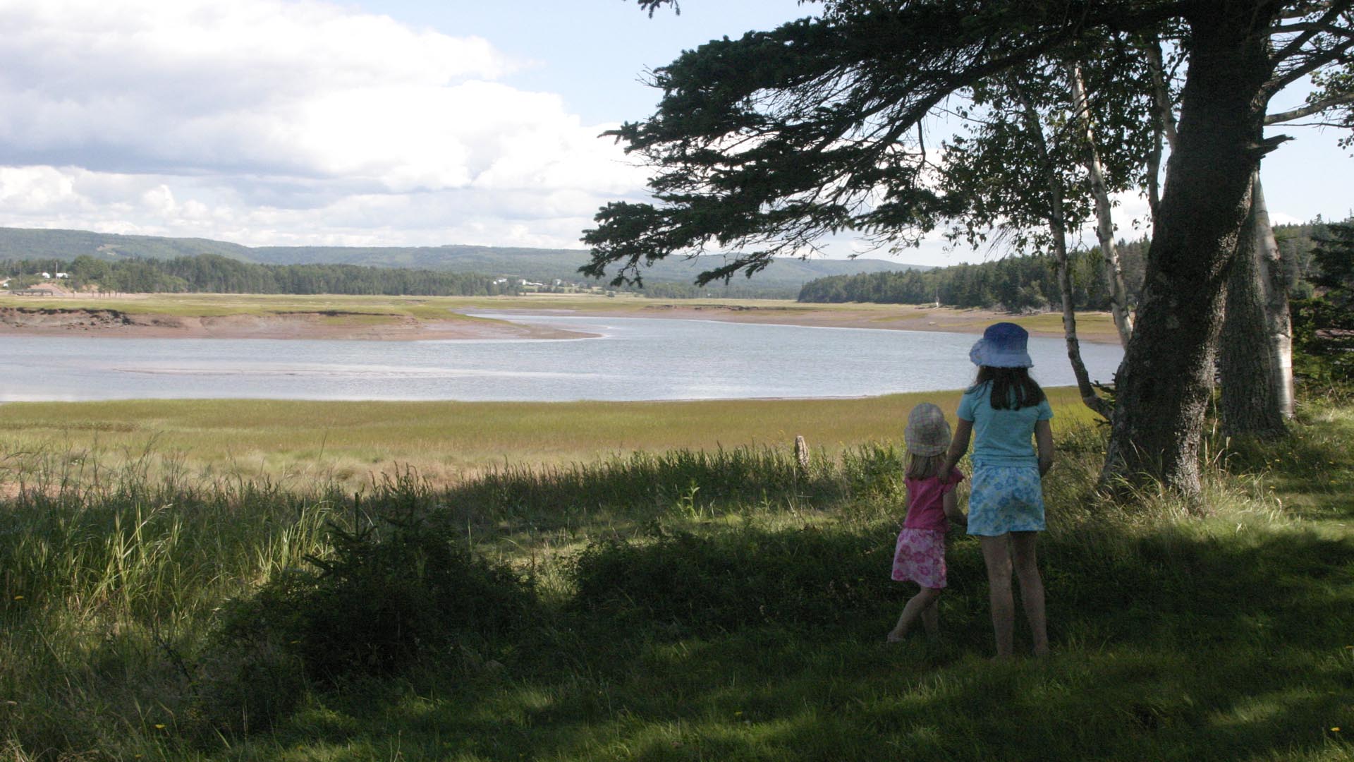 ShowSaltMarsh