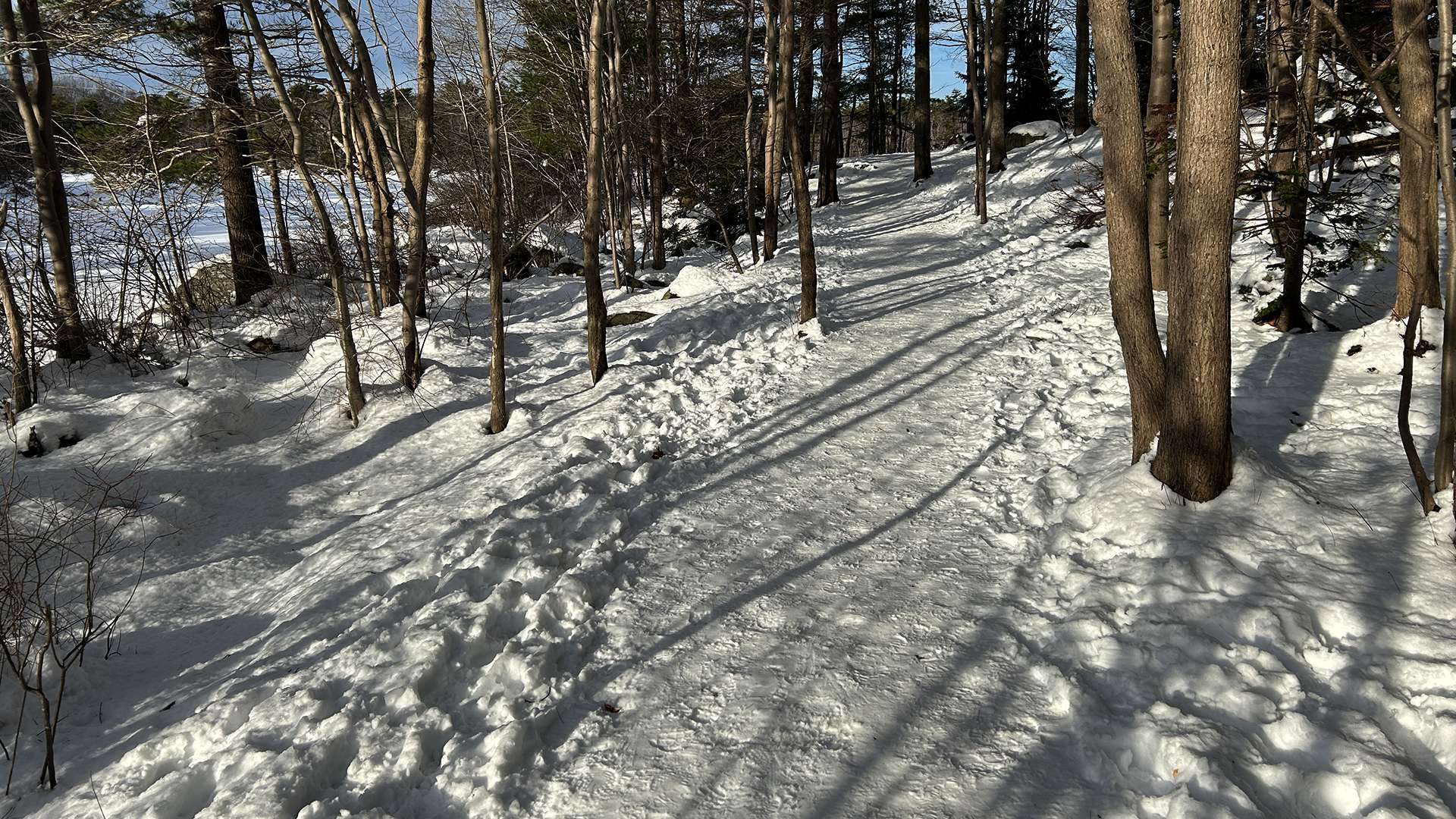 MH122824_Frogpond_ShadowPath
