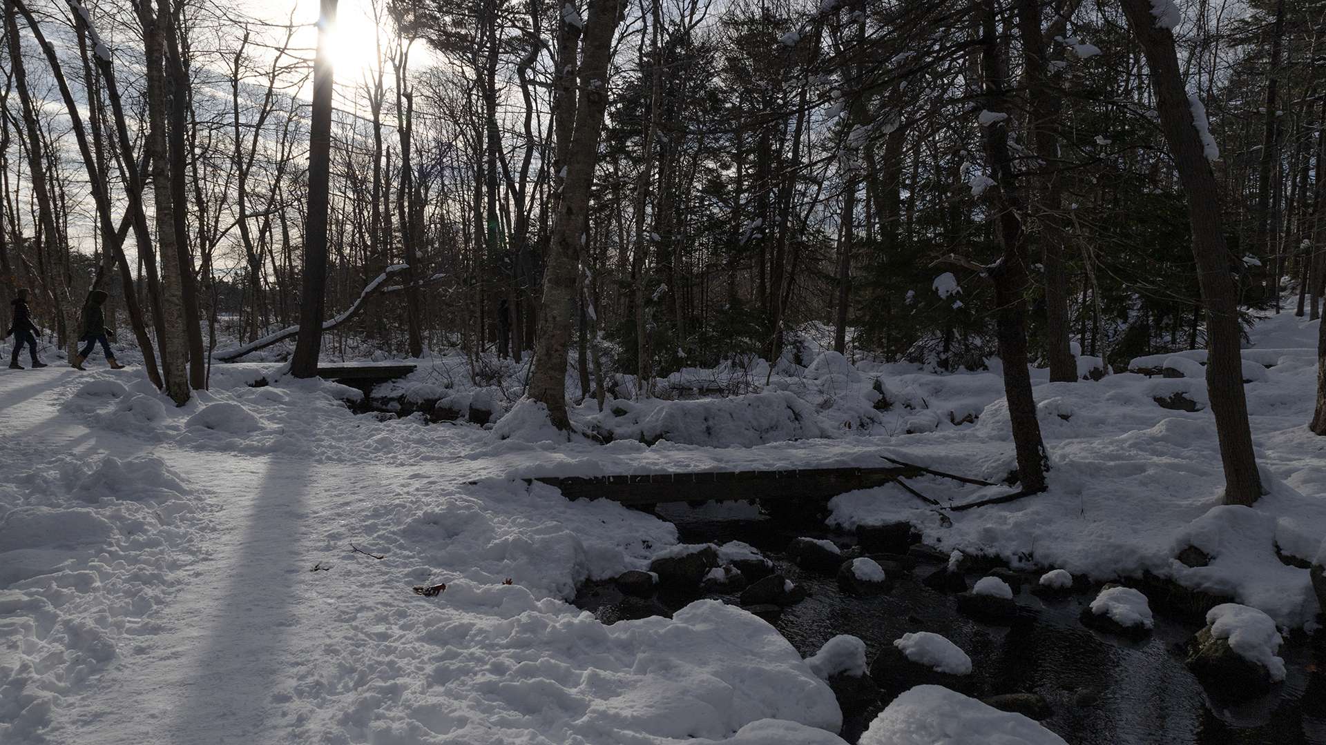 MH_122824Frogpond_ShadowSnow