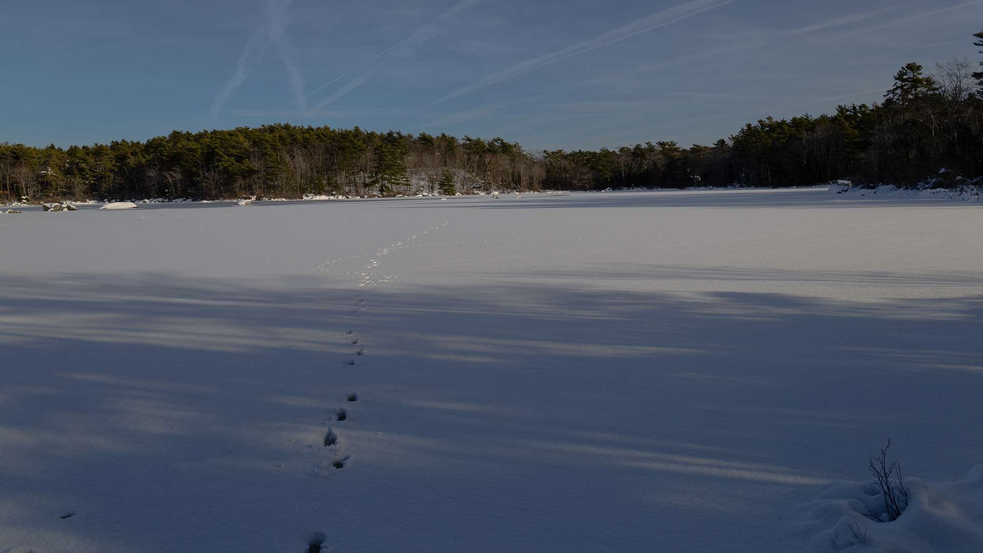 MH_122824_Frogpond1