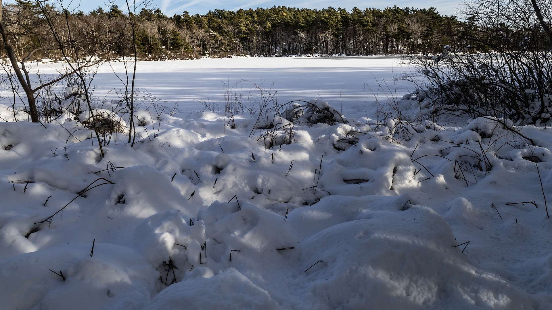 MH_122824_Frogpond_LightandShadows