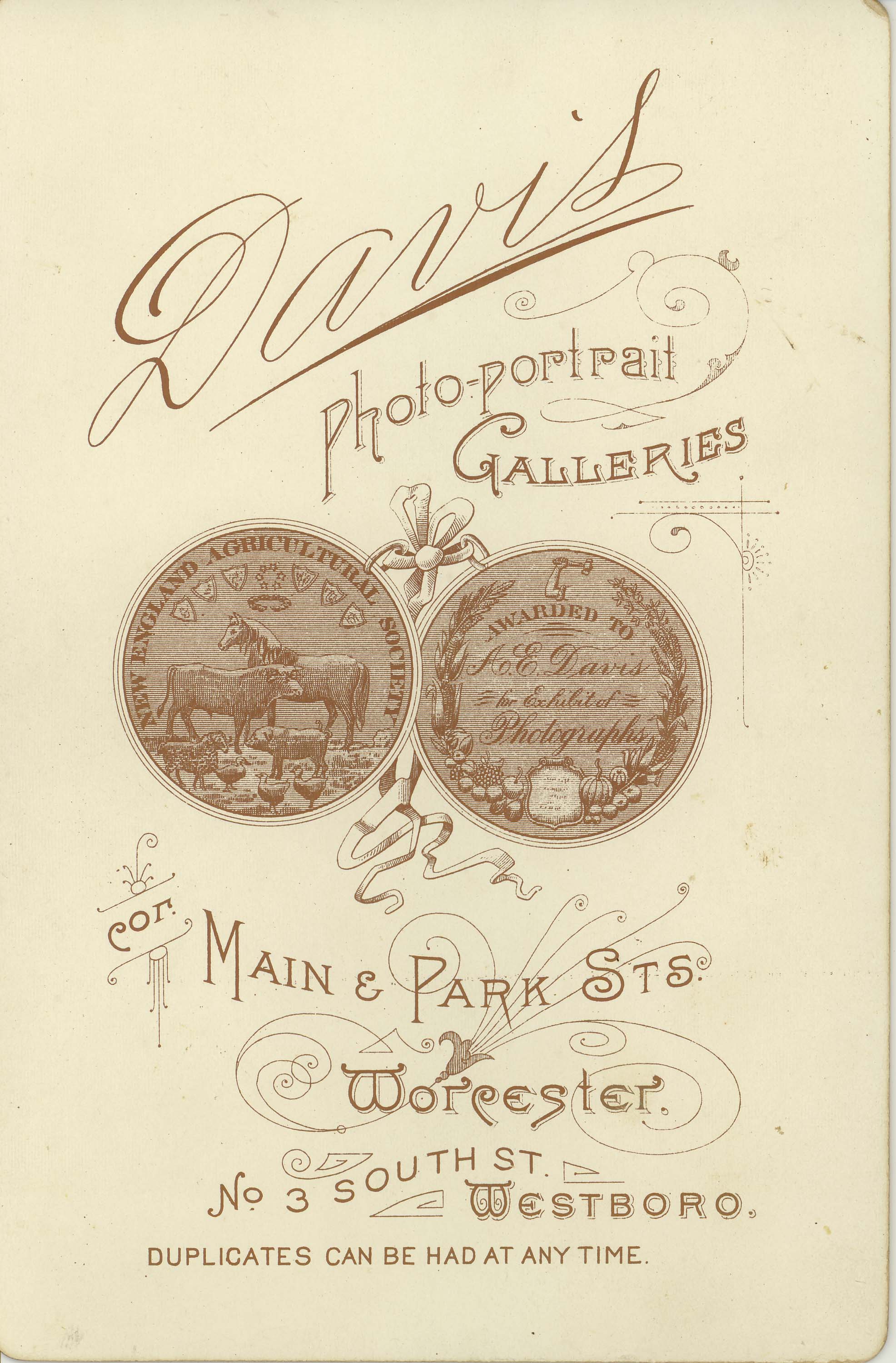 Reverse-Photo-7-Portrait-Young-Man-Davis-Worcester