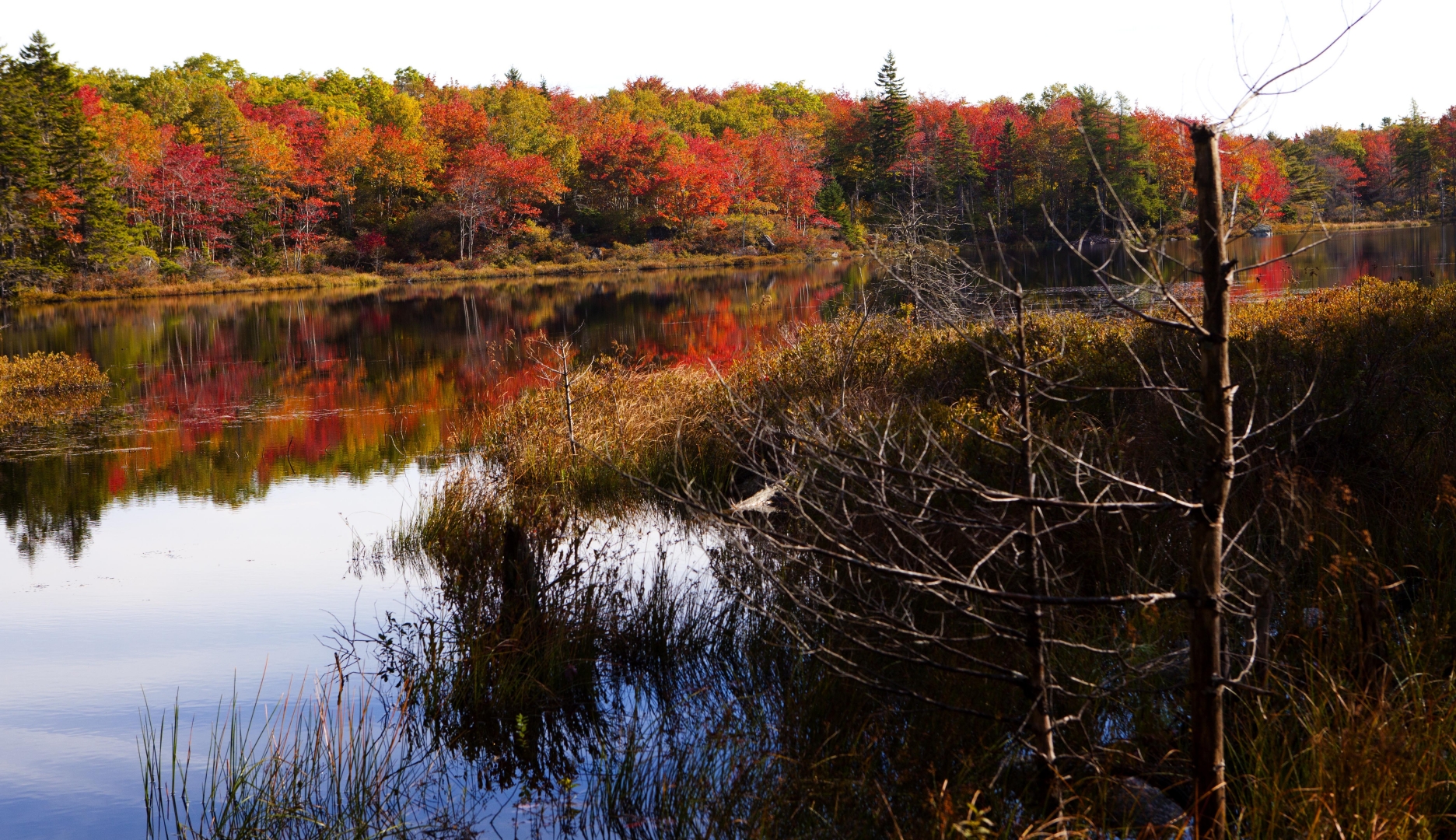 MH_CranberryPond_1850