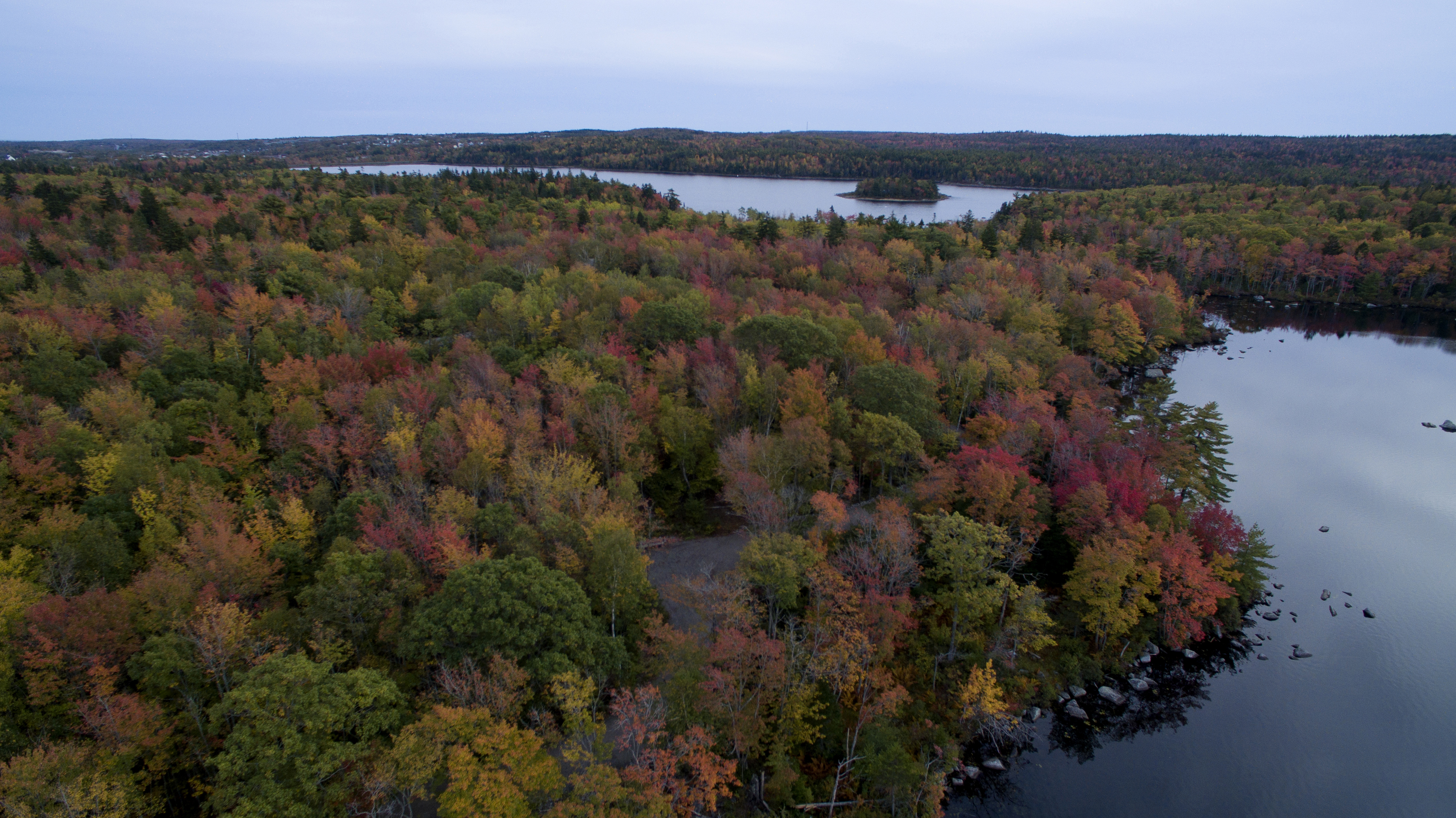 Long lake Park's Lakeview trail is in full fall colours this week. you can see Withrod Lake in the foreground and Long lake in the distance with Goat Island.