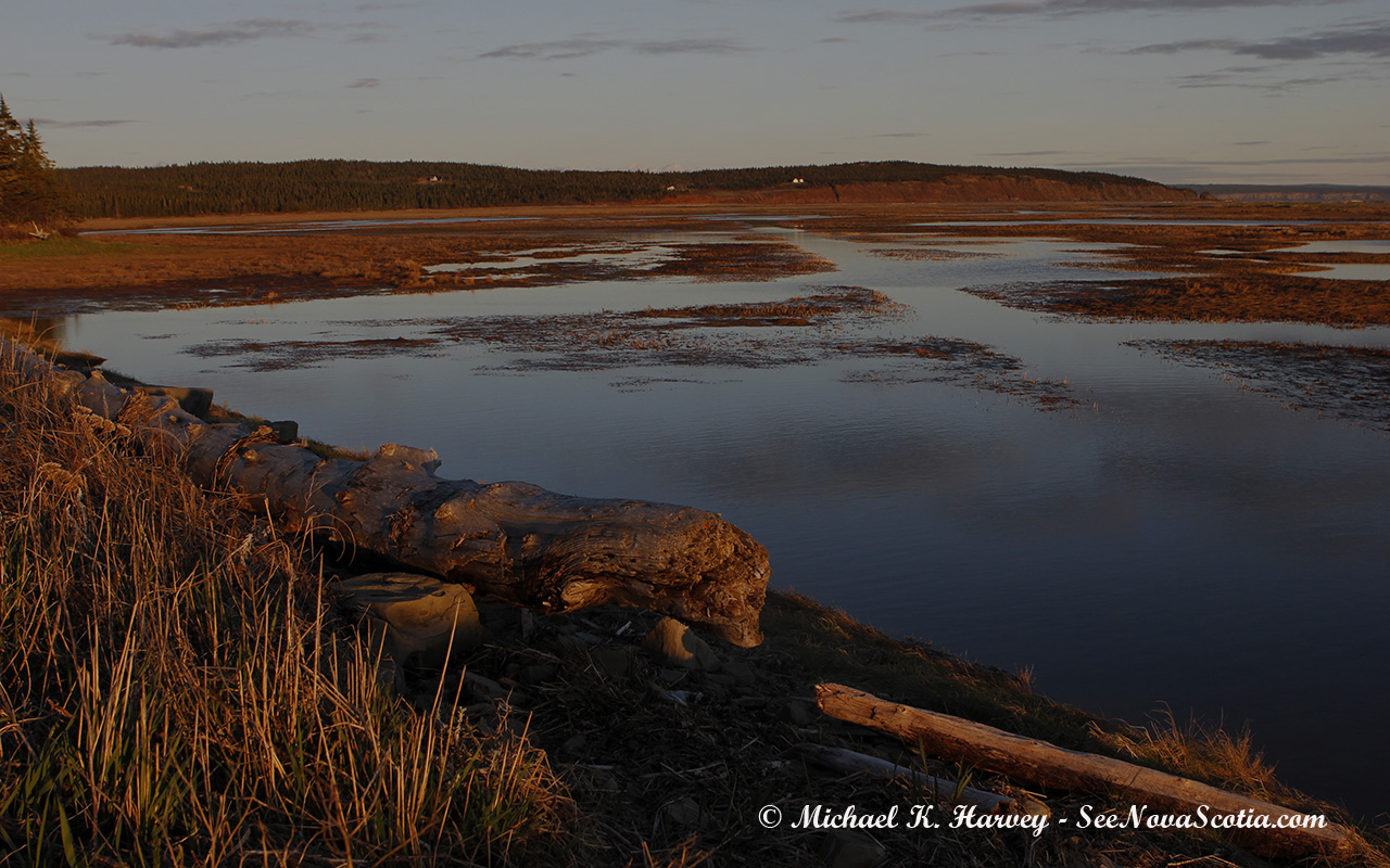 Waterside Marsh in Waterside, Albert County New Brunswick.
No republication rights granted.
contact mharvey@seenovas.mywhc.ca, for prints or reproduction.