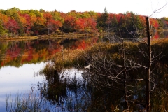 MH_CranberryPond_1850