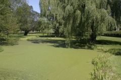 MH_GrandPre1