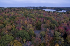 Long lake Park's Lakeview trail is in full fall colours this week. you can see  Long lake in the distance with Goat Island.