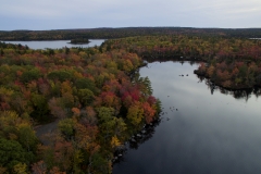 Long lake Park's Lakeview trail is in full fall colours this week. you can see Withrod Lake in the foreground and Long lake in the distance with Goat Island.