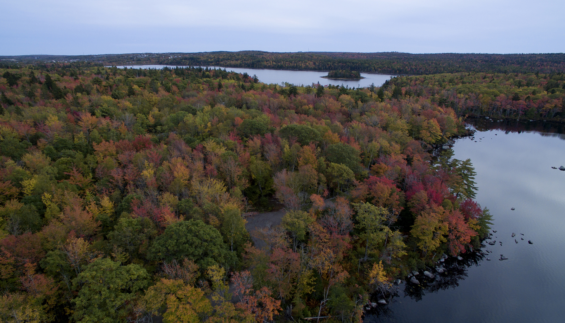 Long lake Park's Lakeview trail is in full fall colours this week. you can see Withrod Lake in the foreground and Long lake in the distance with Goat Island.