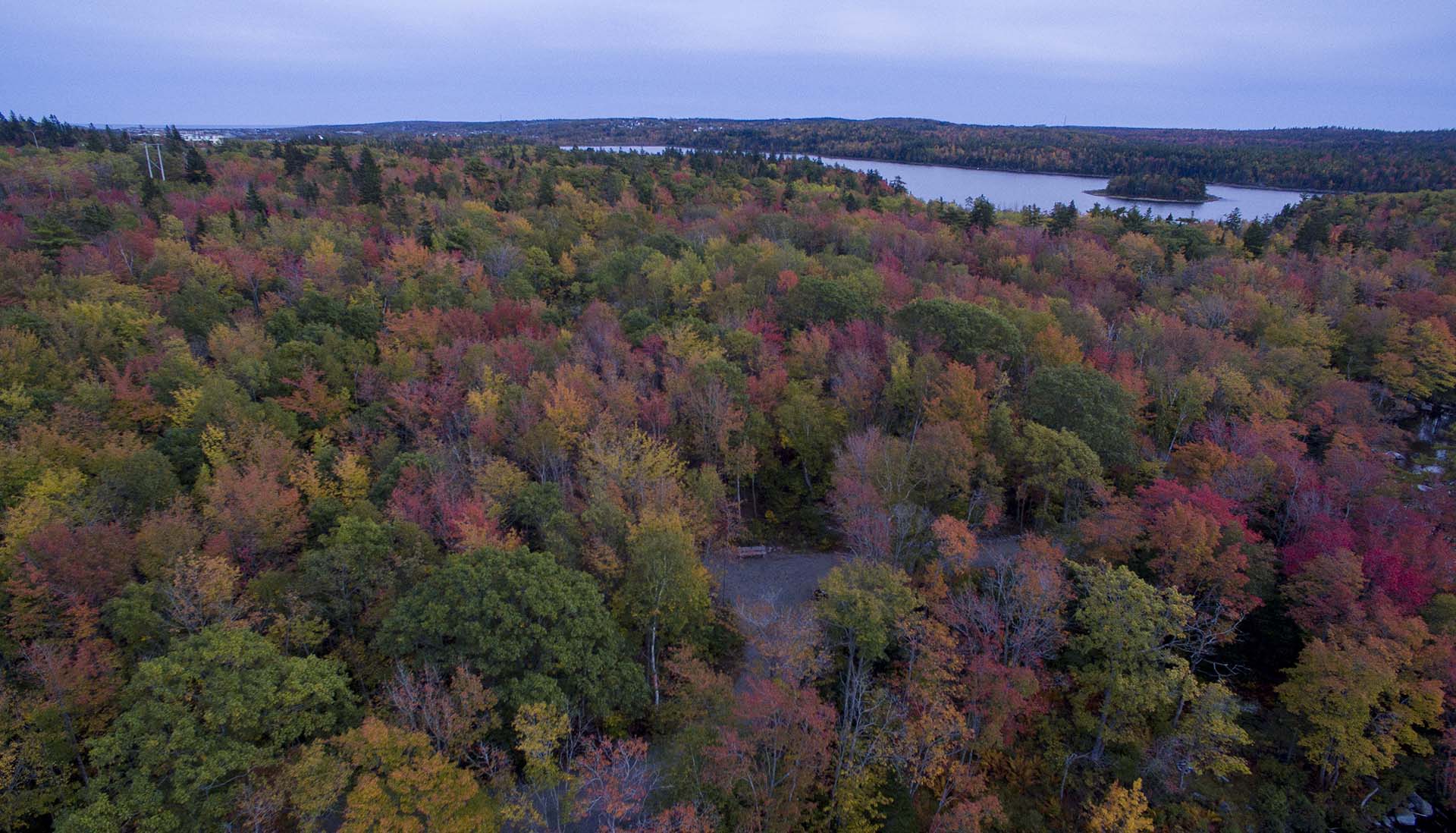 Long lake Park's Lakeview trail is in full fall colours this week. you can see  Long lake in the distance with Goat Island.