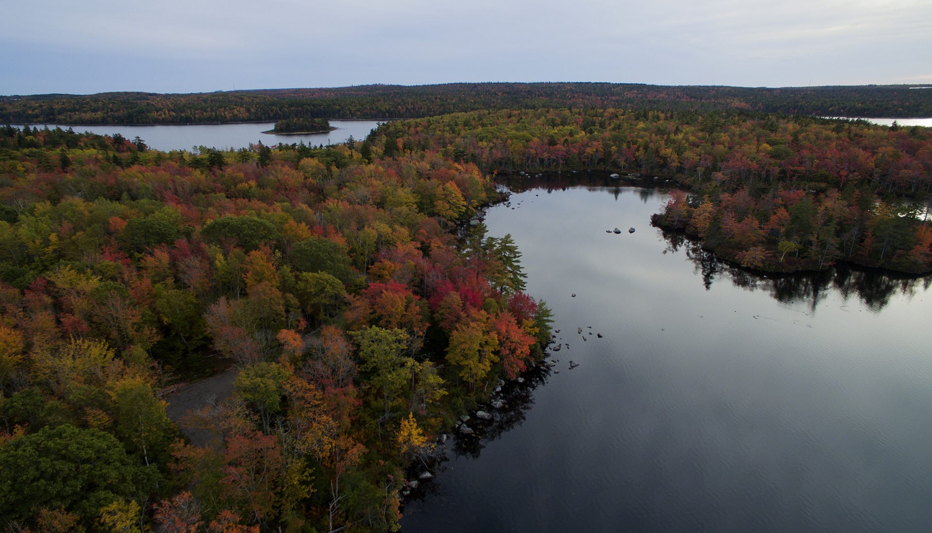 Long lake Park's Lakeview trail is in full fall colours this week. you can see Withrod Lake in the foreground and Long lake in the distance with Goat Island.