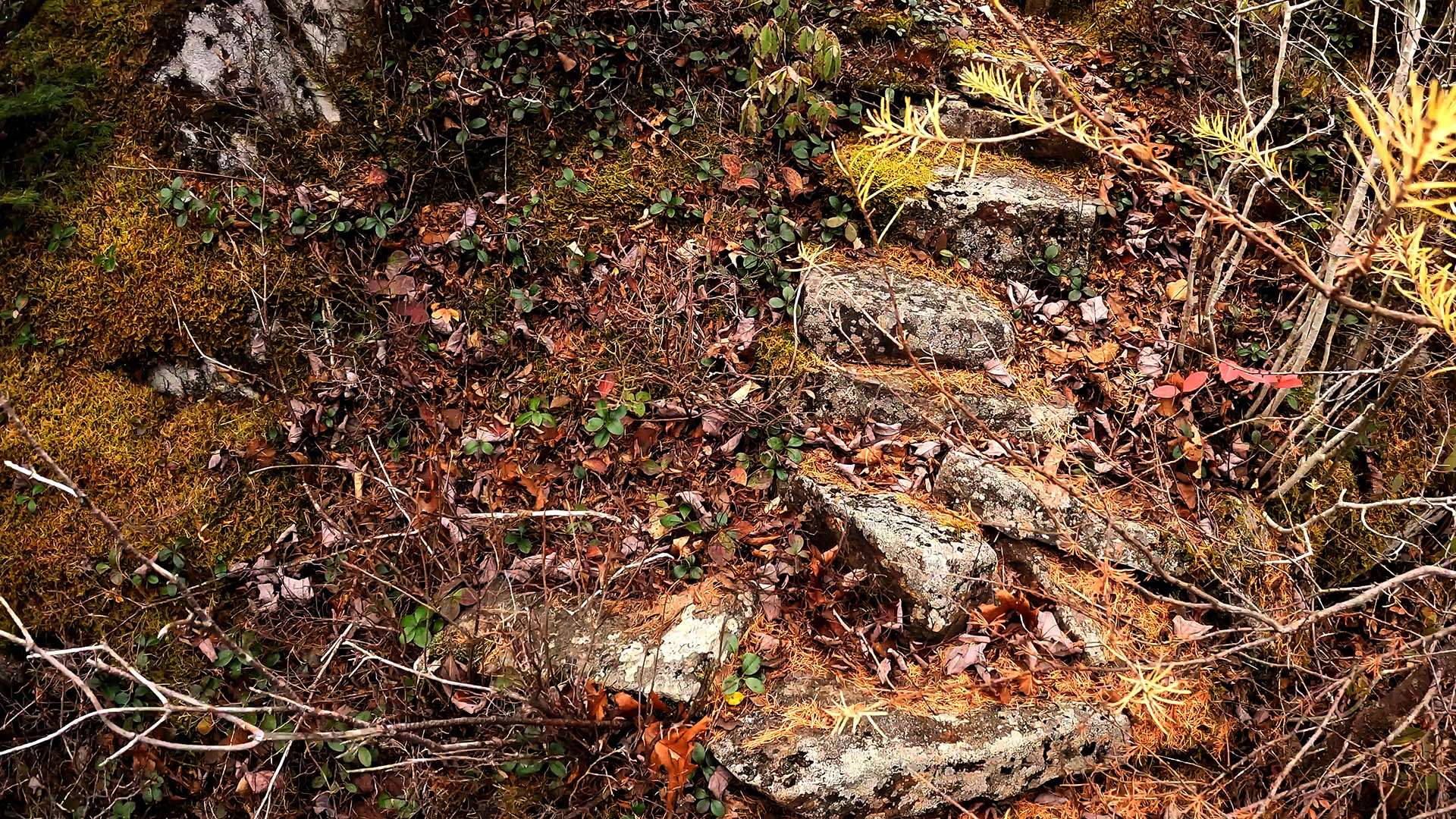 Stairs in Bayers Lake