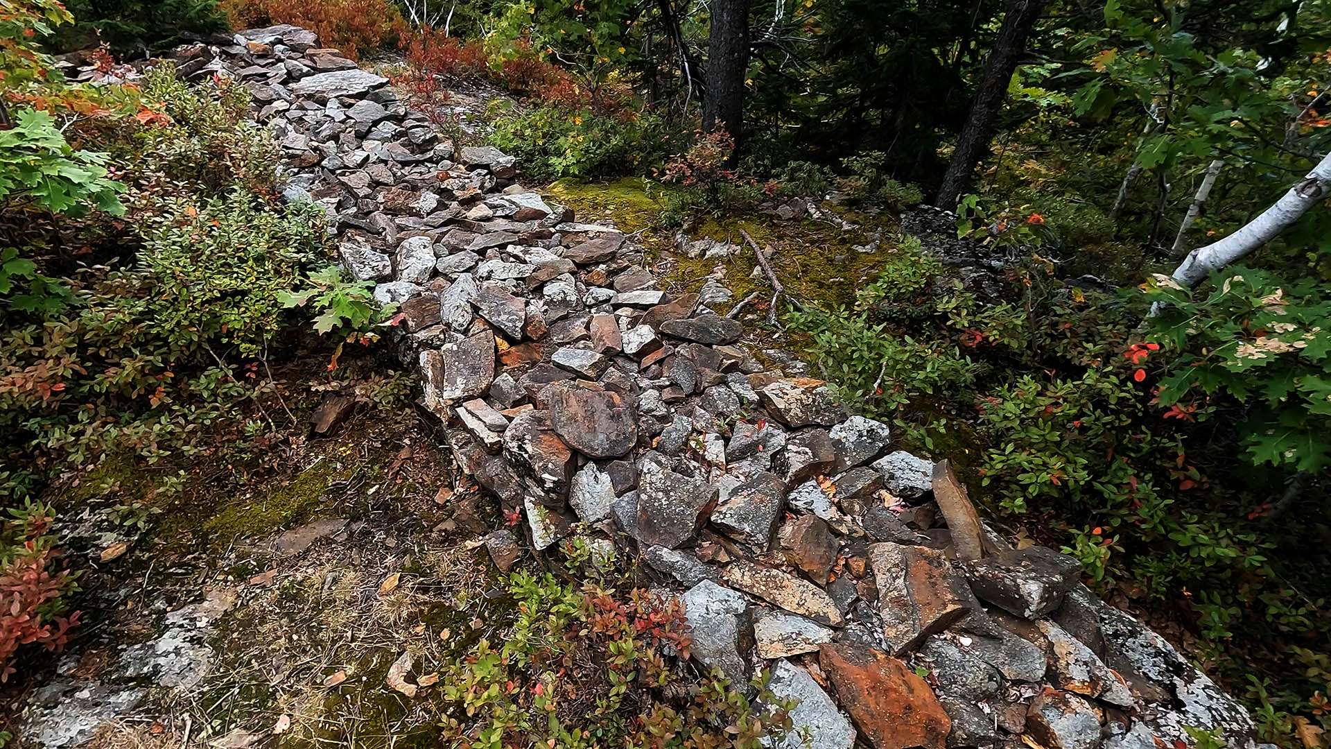 Foundation Wall Section