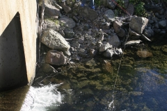 MH_BrookFishing1