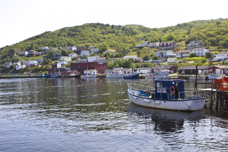 MH_PeddyHarbour_7885