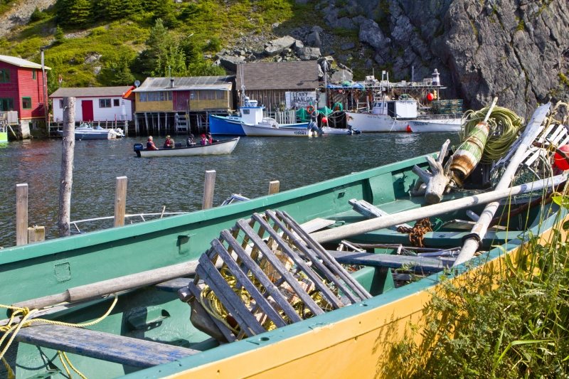 MH_QuidiVidi_7760-Copy