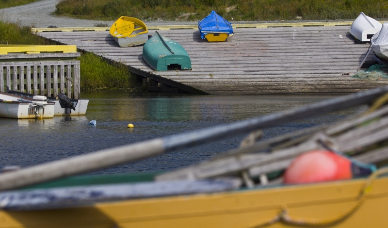 MH_QuidiVidi_7774
