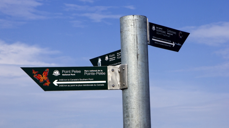 MH_Signs__7788