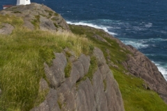 MH_CapeSpear_7822