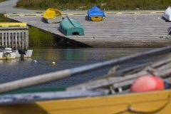 MH_QuidiVidi_7774