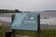 MH_WitlessBay_8053