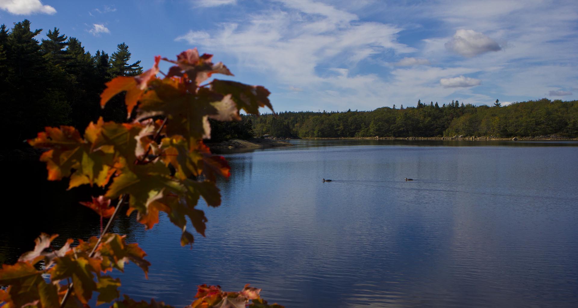 LongLakeOct2015 (108)