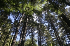 SS_IMG_0027