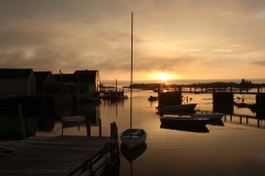 SS_IMG_8961