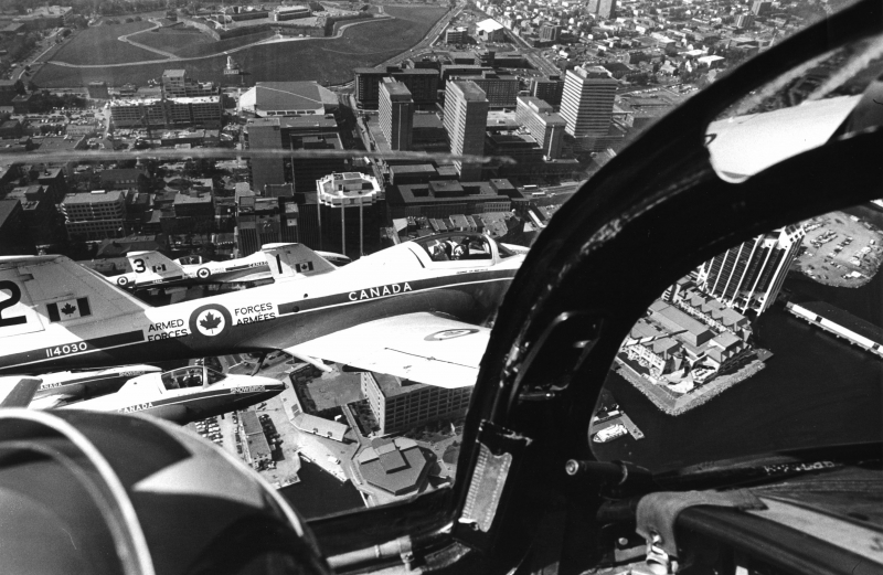 snowbird1
