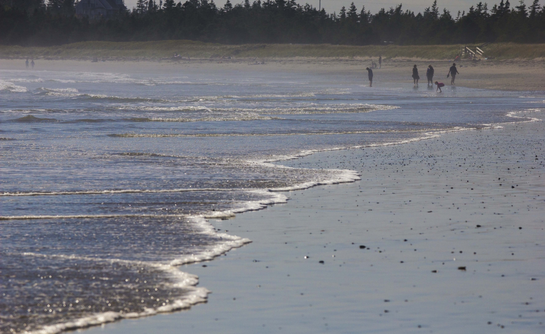 MH_MartiniqueBeach_M8234