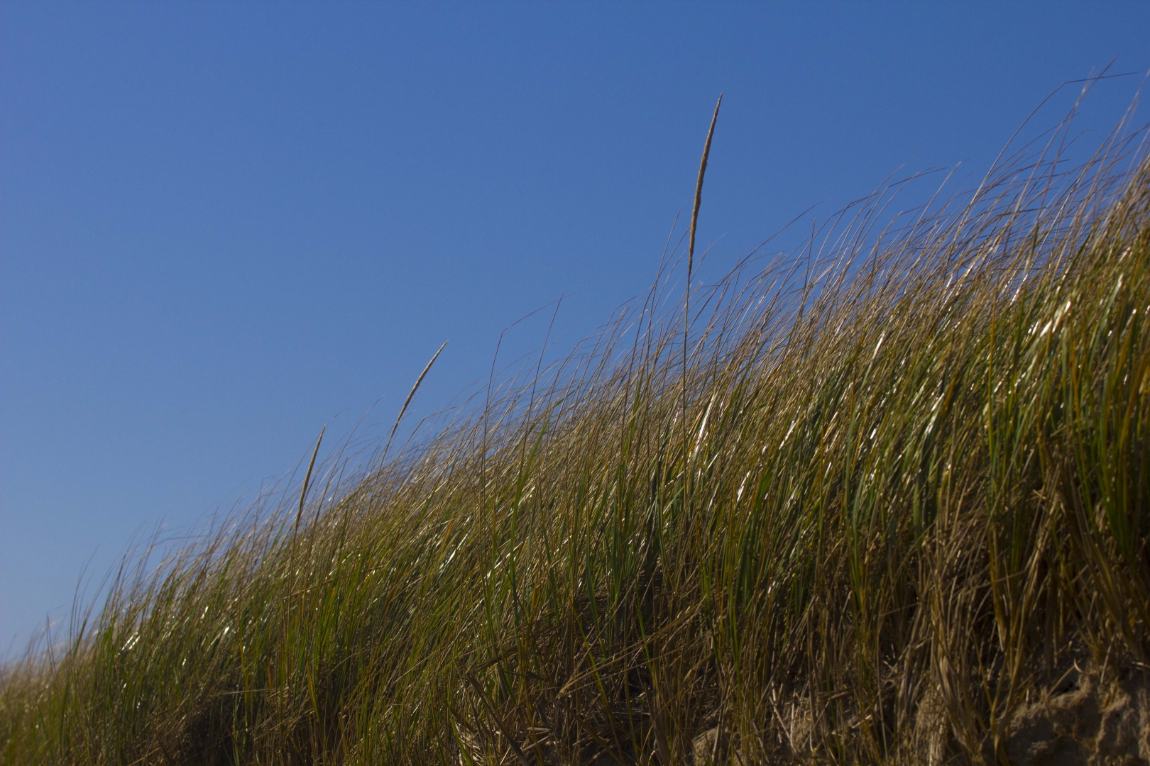 MH_MartiniqueBeach_M8257