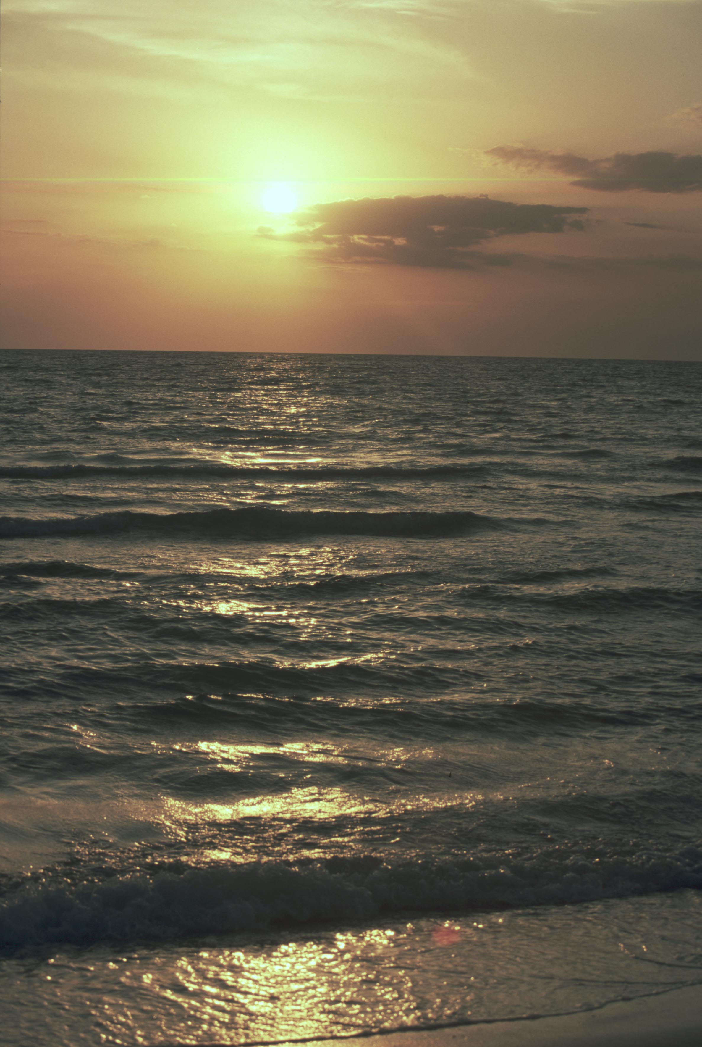Tampa Bay