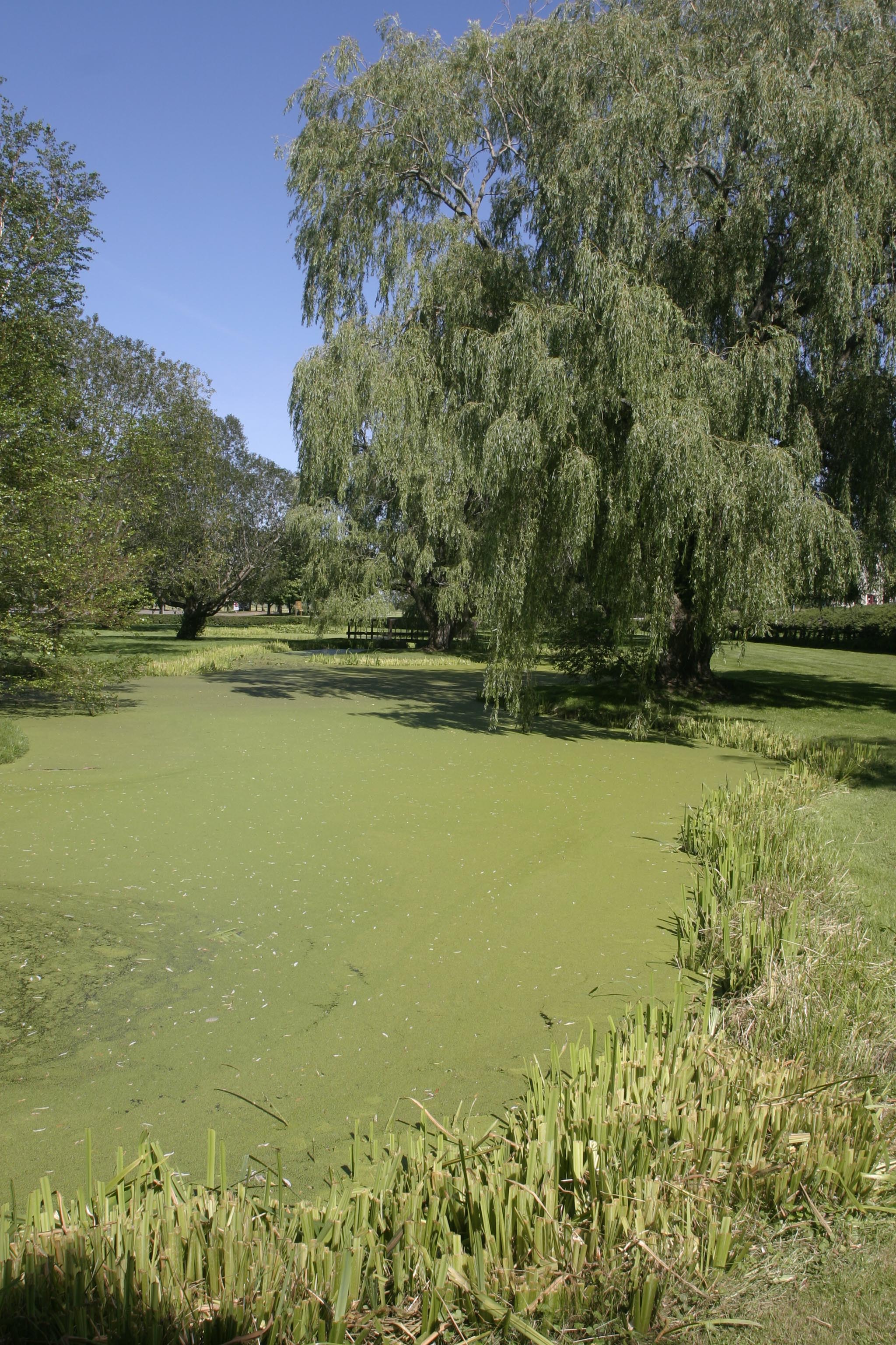 MH_GrandPre1