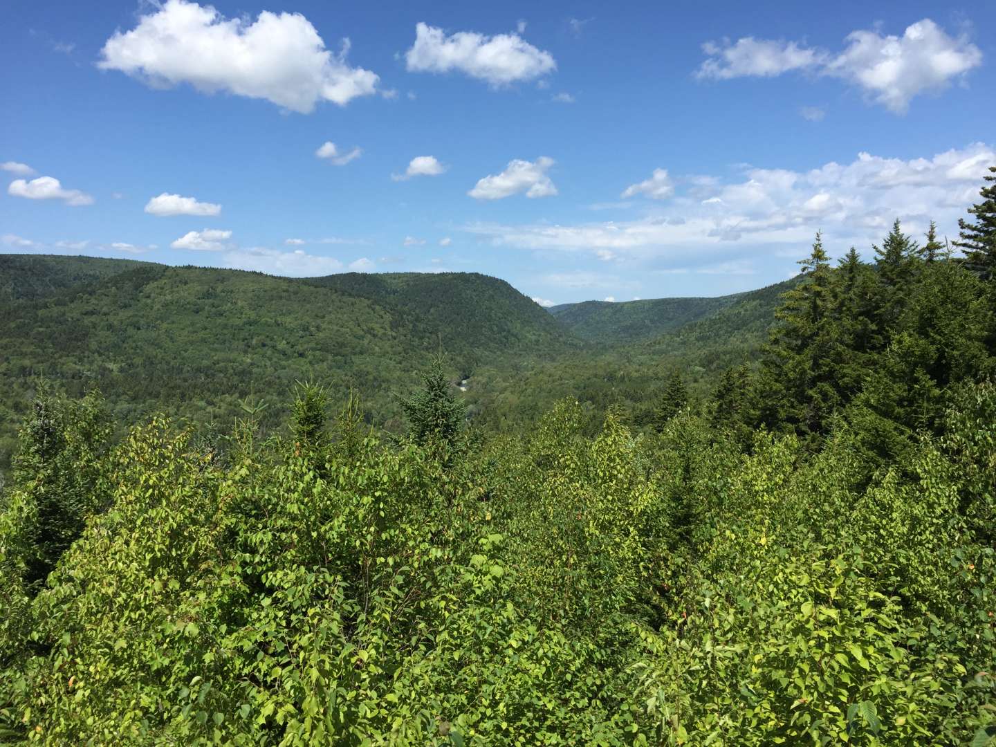 Crooked Creek Lookout