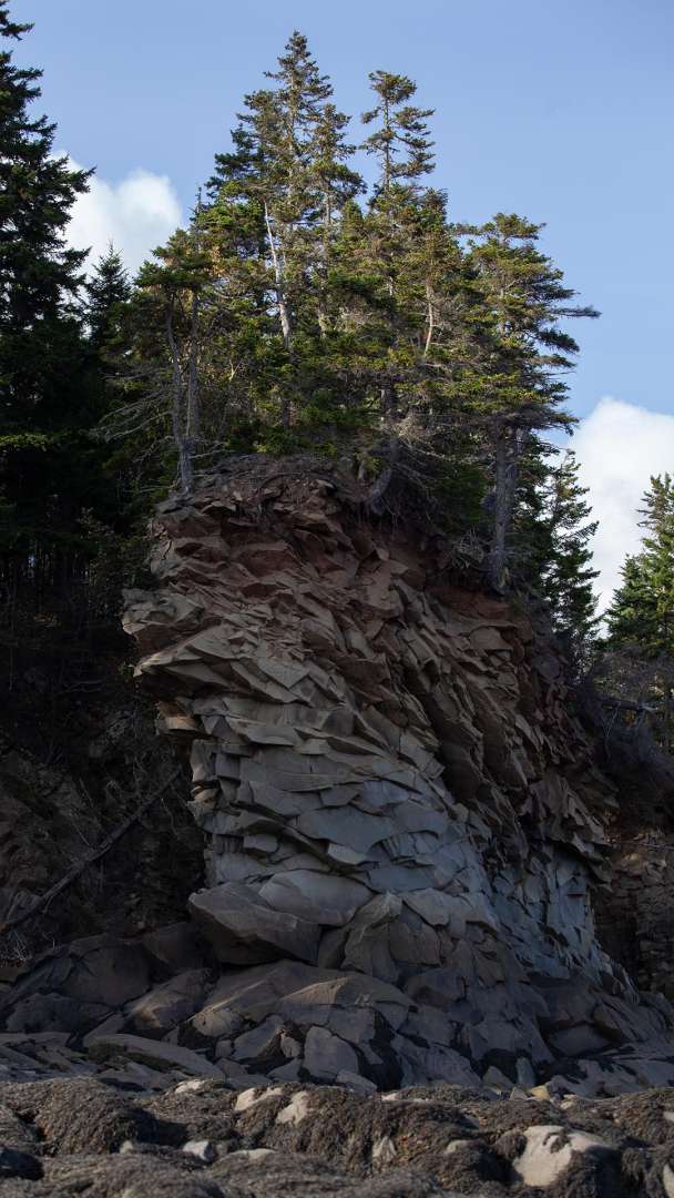 Rocky outcropping