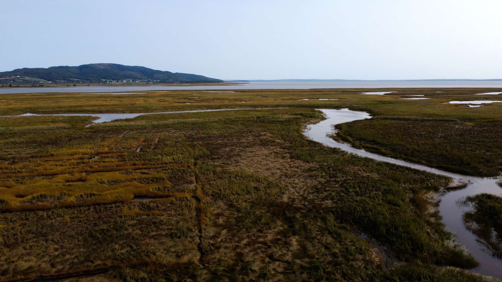 Shepody Marsh