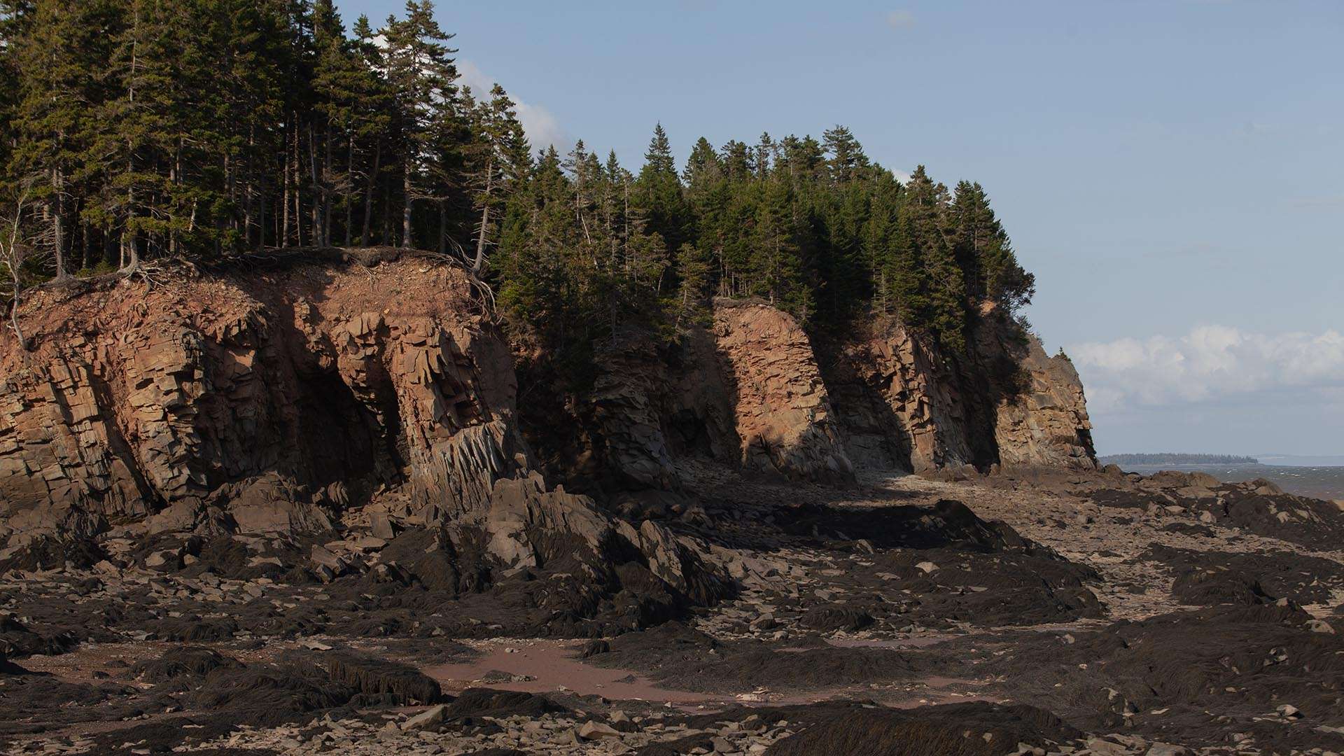 Rocky Shores