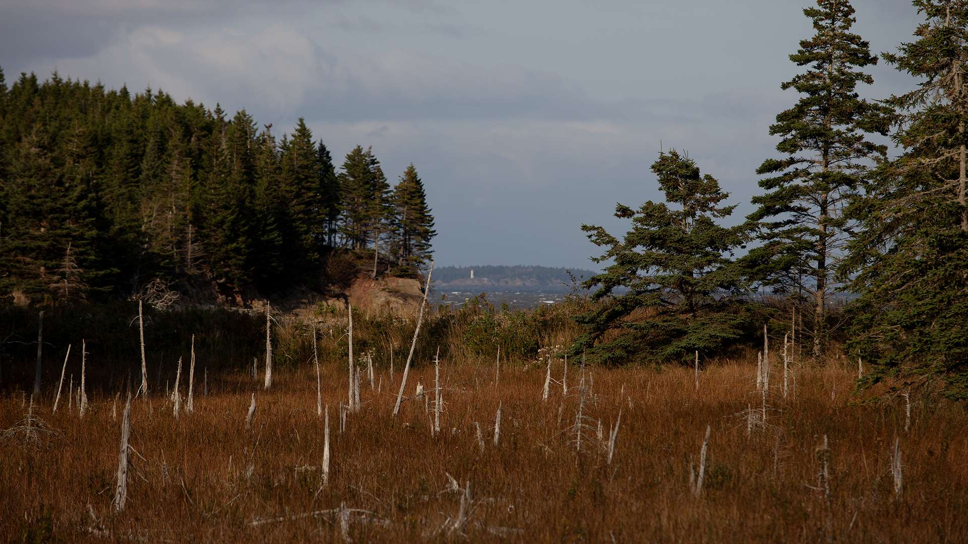 Grindstone Island over Marsh