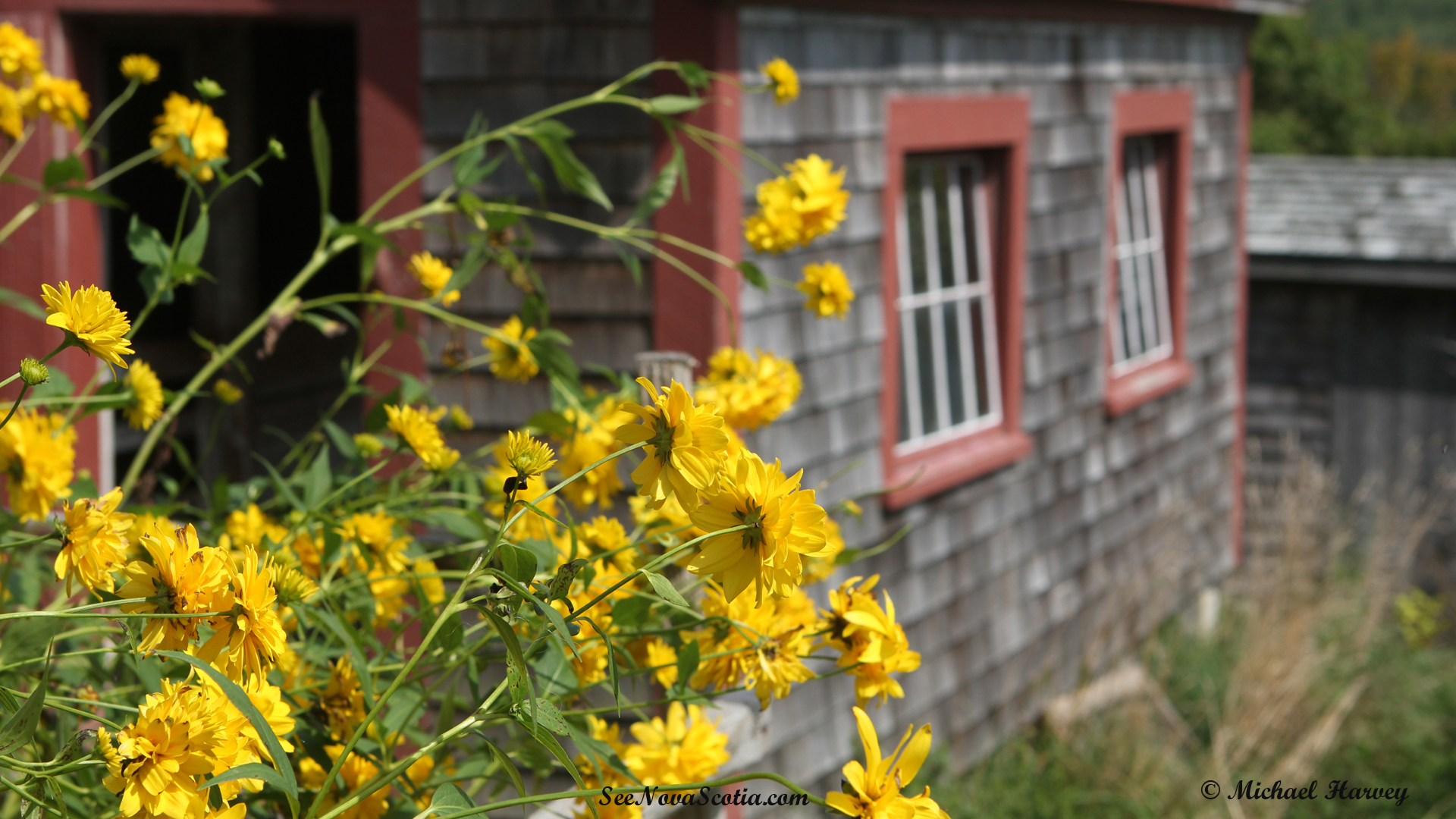 RossFarm_Wallpaper1920